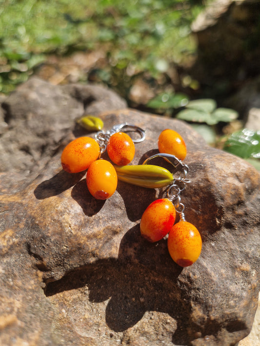 Boucles Argousier