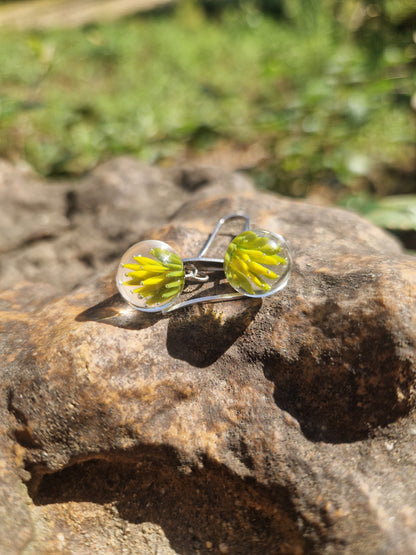 Boucles d'oreilles implosion
