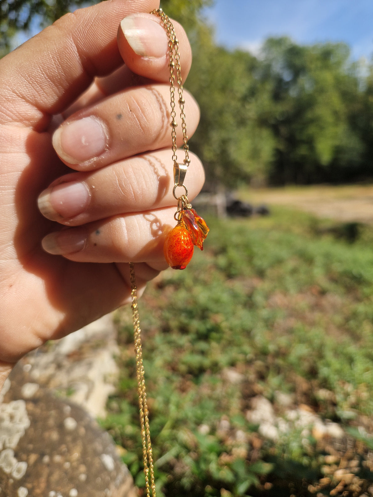 Collier Argousier